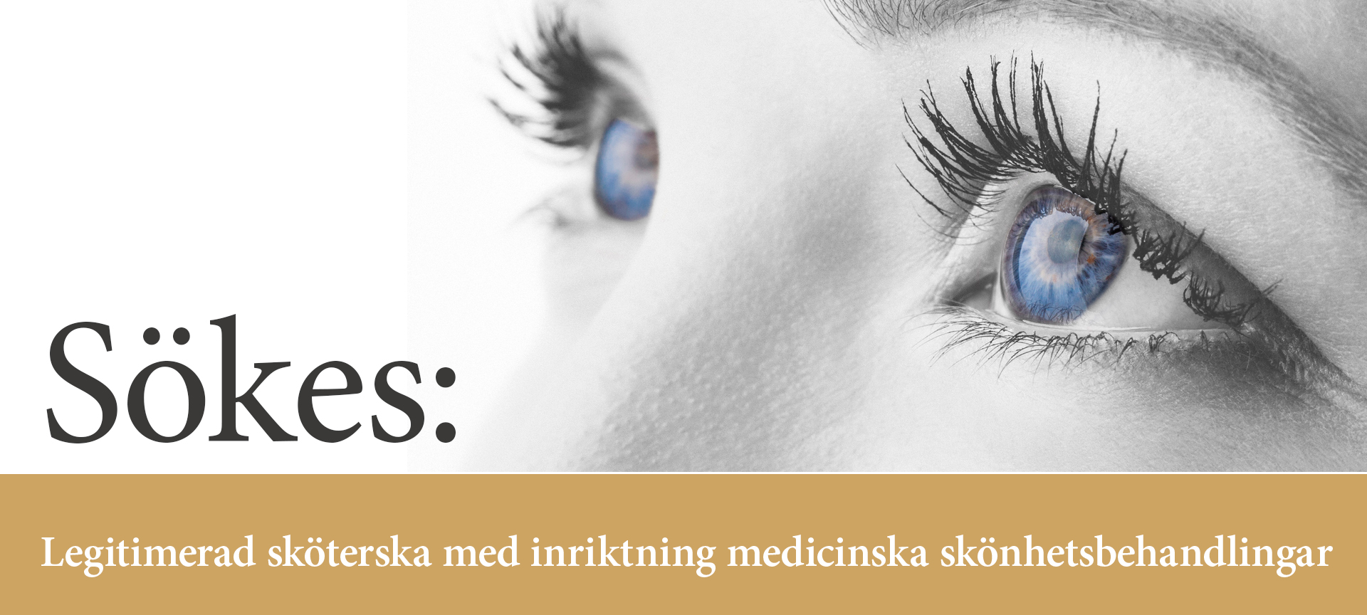 annons-skelleftea