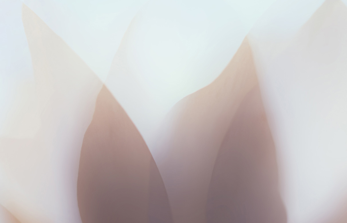 Beige blad